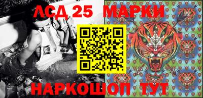 гидра Славянск-на-Кубани