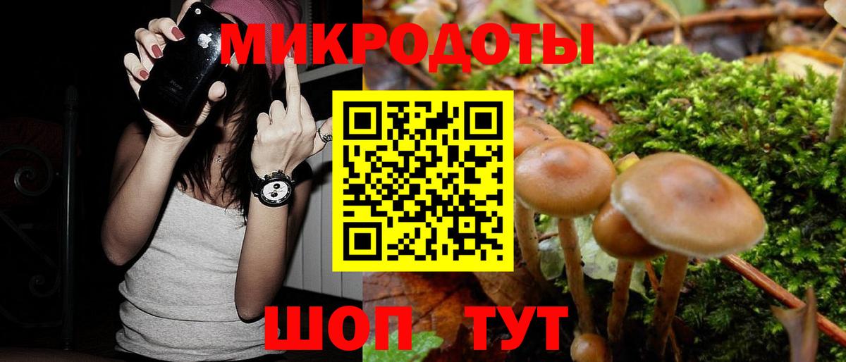 Галлюциногенные грибы мицелий Отрадное
