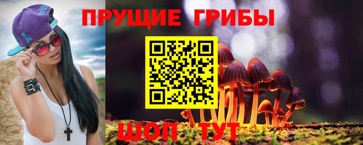 Псилоцибиновые грибы GOLDEN TEACHER  Вход с VPN  Отрадное  Псилоцибиновые грибы ЛСД 